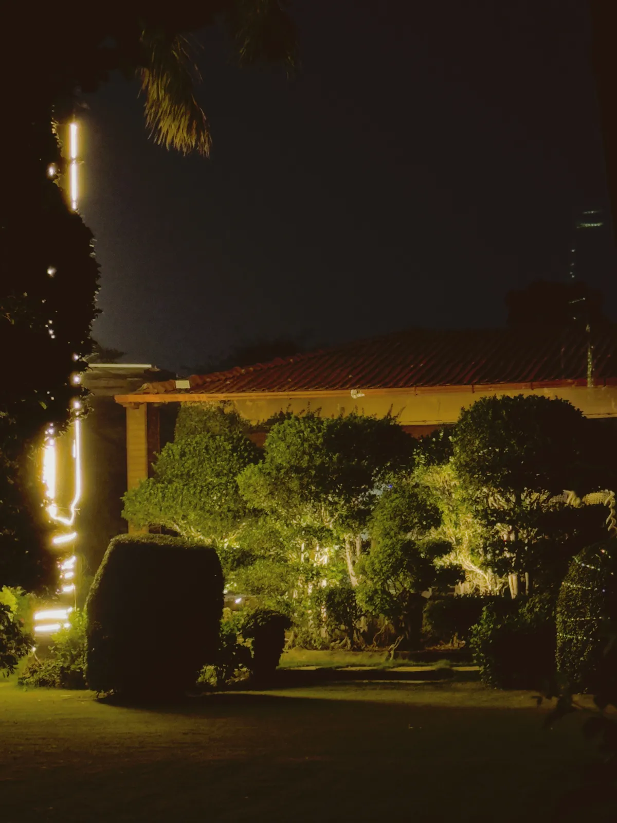 Clipped shrubs and a glowing light strip in front of the farmhouse roof at night at Raj Organic Farm