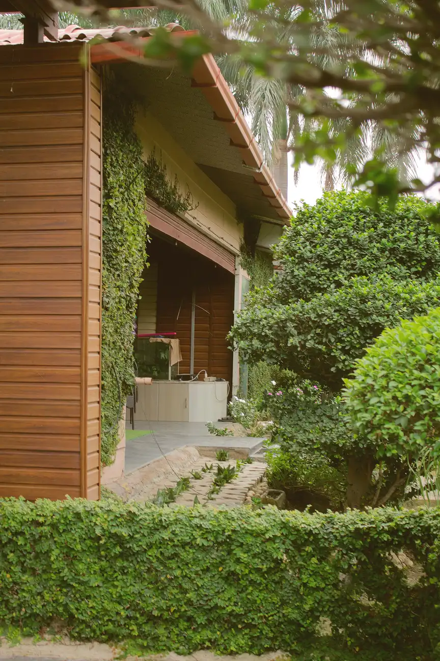 A wooden-clad corner of the farmhouse with ivy and a trimmed hedge in front, by day at Raj Organic Farm